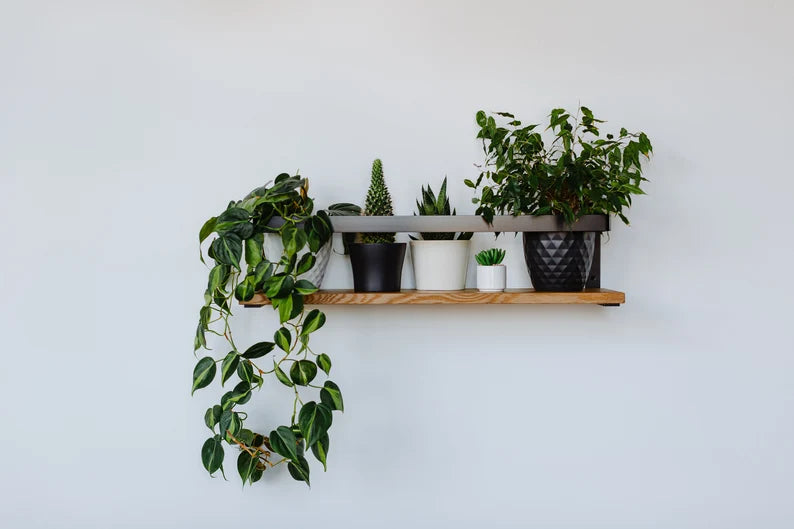Wall mounted handmade wood shelf - The DecFair