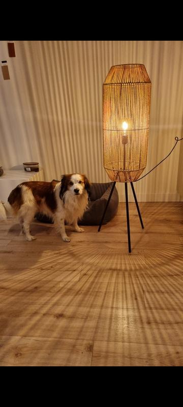 Gaia Natural/Black Floor Lamp – 47.2" H