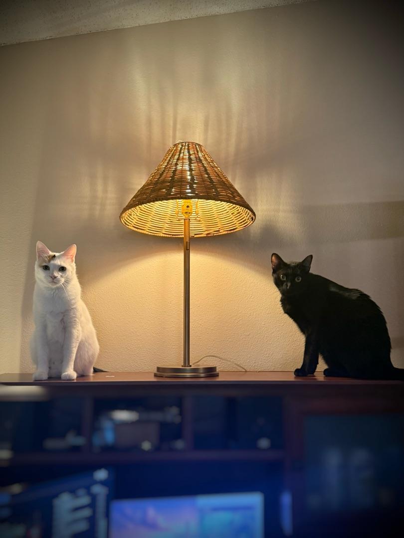 Decfair Side Table Rattan Lamp