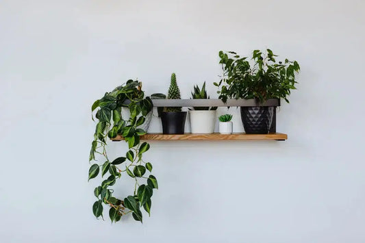 Wall mounted handmade wood shelf - The DecFair