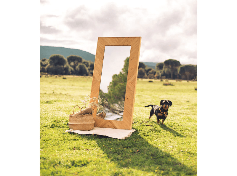 Pampa Mirror