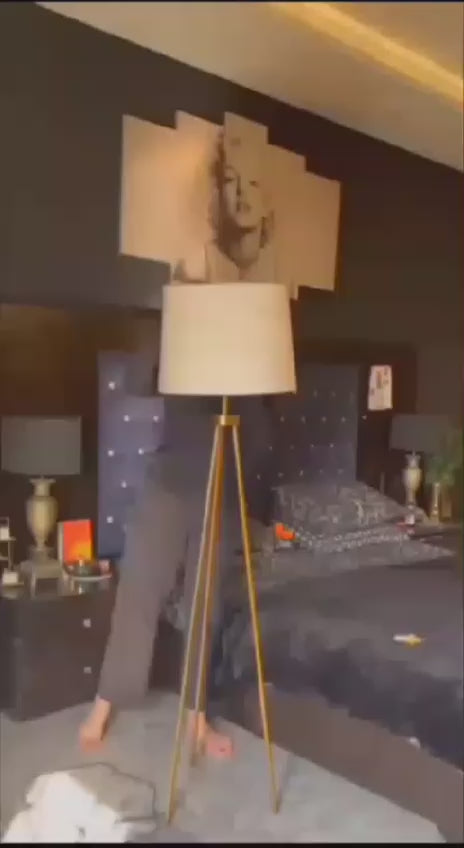 Brass Tripod Floor Lamp