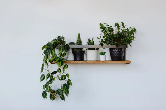 Wall mounted handmade wood shelf - The DecFair