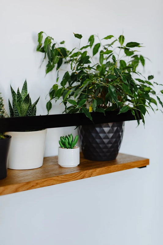 Wall mounted handmade wood shelf - The DecFair